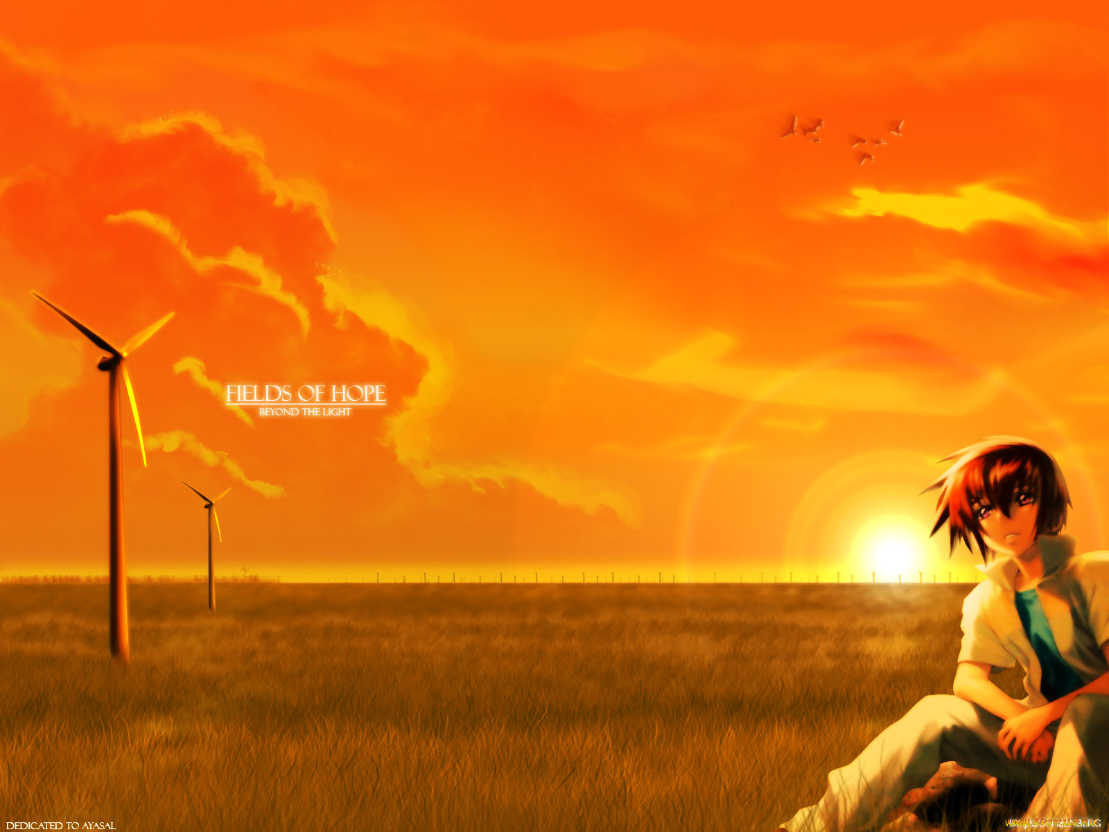 , gundam, seed
